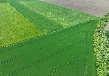 Land & Lots